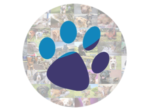 Extraordinario de Vacaciones / Refugio de Animales de Cambados