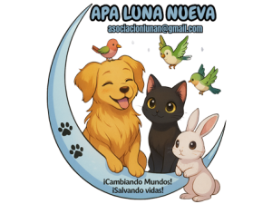 APA Luna Nueva Extraordinario de Navidad