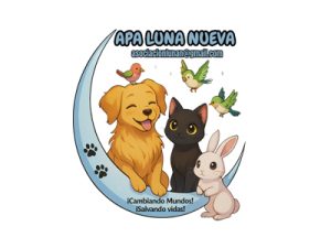 APA Luna Nueva Extraordinario de Navidad